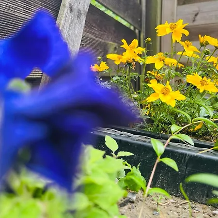 شقة Zwergenstube *