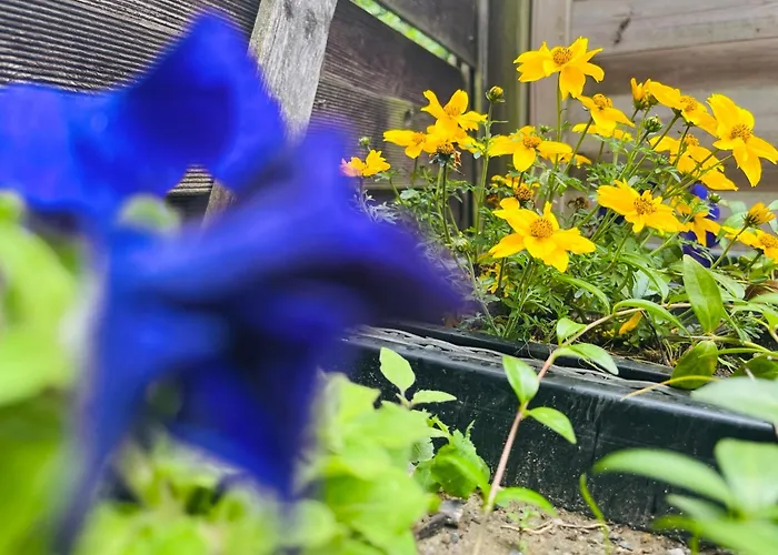 아파트 Zwergenstube *